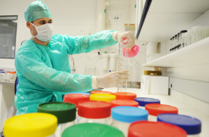  (foto: Peter Ilicciev)